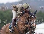 Vizzini Quinta Roo TosTour 2013- S5 7224 : Arezzo Equestrian Centre, Quinta Roo, Toscana Tour 2013, Vizzini Lucia, foto di Stefano Secchi ©